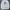 Vintage Y2K Formal shirt Pria white photo 2