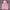 Dickies Streetwear Hoody Pria pink photo 1