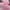 Dickies Streetwear Hoody Pria pink photo 5
