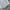 Fluke Skateboard Y2K Skater Sweater Pria gray photo 5