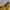 Adidas Streetwear Luxury T-shirt Pria yellow photo 8