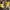Streetwear Casual Suit Pria green yellow photo 2