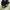 Casual Muslim Heels Wanita black photo 2