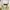 Uniqlo Streetwear Y2K Formal shirt Pria white yellow photo 4