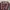 Y2K Skater Formal shirt Pria brown photo 2