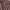 Y2K Skater Formal shirt Pria brown photo 3