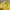 Uniqlo Streetwear Y2K Casual shirt Pria yellow photo 2