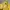 Uniqlo Streetwear Y2K Casual Shirt Pria Yellow