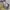 Nike Vintage Streetwear Short Pria gray photo 5