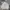 Champion Streetwear Y2K Hoody Pria gray photo 1