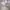 Nike Luxury Casual Hoody Pria white photo 8
