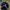 Nike Vintage Sportswear Hat Pria black photo 5