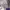 Sportswear Casual Track jacket Wanita purple photo 2
