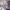 Sportswear Casual Track Jacket Wanita Purple
