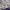 Sportswear Casual Track jacket Wanita purple photo 4