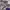 Sportswear Casual Track jacket Wanita purple photo 5