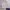 Sportswear Casual Track jacket Wanita purple photo 1