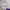 Sportswear Casual Track Jacket Wanita Purple