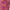 Vintage Shirt Wanita pink photo 4