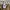 Dickies Streetwear Y2K Skirt Wanita tan photo 7