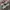 Nike Streetwear Y2K Sneakers Pria multicolor photo 5