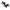 Nike Streetwear Y2K Sneakers Pria multicolor photo 1