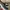 Nike Streetwear Y2K Sneakers Pria multicolor photo 5