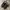 Nike Streetwear Y2K Sneakers Pria multicolor photo 2