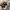 Nike Streetwear Y2K Sneakers Pria multicolor photo 6
