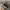 Nike Streetwear Y2K Sneakers Pria multicolor photo 8