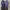 Nike Streetwear Y2K Sneakers Pria multicolor photo 4