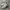 Nike Streetwear Y2K Sneakers Pria multicolor photo 2