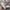Nike Streetwear Y2K Sneakers Pria multicolor photo 3