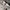 Nike Streetwear Y2K Sneakers Pria multicolor photo 6