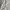 Oioi Minimalist Casual Bomber jacket Wanita white cream photo 3
