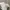 Nike Streetwear Y2K Sneakers Pria white photo 2