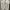 Nike Streetwear Y2K Sneakers Pria white photo 4