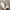 Nike Streetwear Y2K Sneakers Pria white photo 7