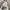 Nike Streetwear Y2K Sneakers Pria white photo 3
