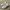 Nike Streetwear Y2K Sneakers Pria white photo 8