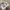 Nike Streetwear Y2K Sneakers Pria white photo 5