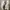 Nike Streetwear Y2K Sneakers Pria white photo 6