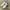 Nike Sportswear Sneakers Pria white black photo 6