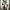 Nike Sportswear Sneakers Pria white black photo 7