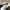 Nike Sportswear Sneakers Pria white black photo 2