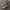 Nike Streetwear Y2K Sneakers Pria multicolor photo 7