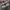 Nike Streetwear Y2K Sneakers Pria multicolor photo 3