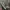 Nike Streetwear Y2K Sneakers Pria multicolor photo 6