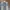 PLAC Streetwear Y2K Jeans Pria multicolor photo 7