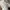 Nike Streetwear Y2K Sneakers Wanita white khaki photo 6